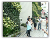 邁向綠色機構 總部大樓添青蔥 Towards a Green Organisation - Draping EMSD Headquarters in Greenery