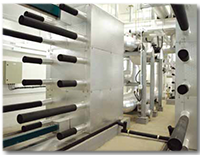 配合「綠建環評」 加強總部大樓綠化
Promote Green Transformation of
EMSD Headquarters Building for BEAM Plus